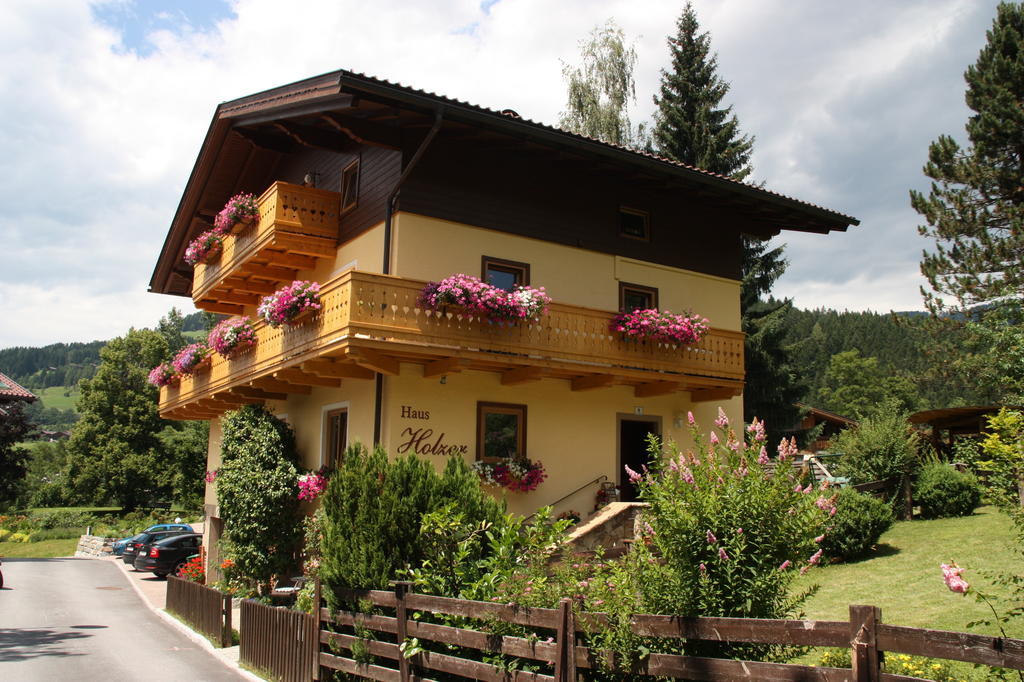 Haus Holzer Daire Wagrain Dış mekan fotoğraf